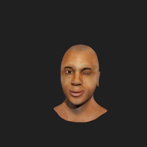 Human Head Model preview image